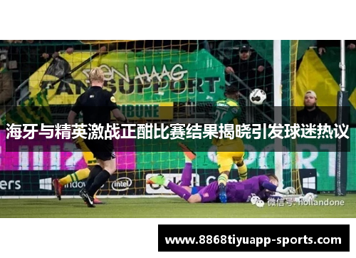 海牙与精英激战正酣比赛结果揭晓引发球迷热议
